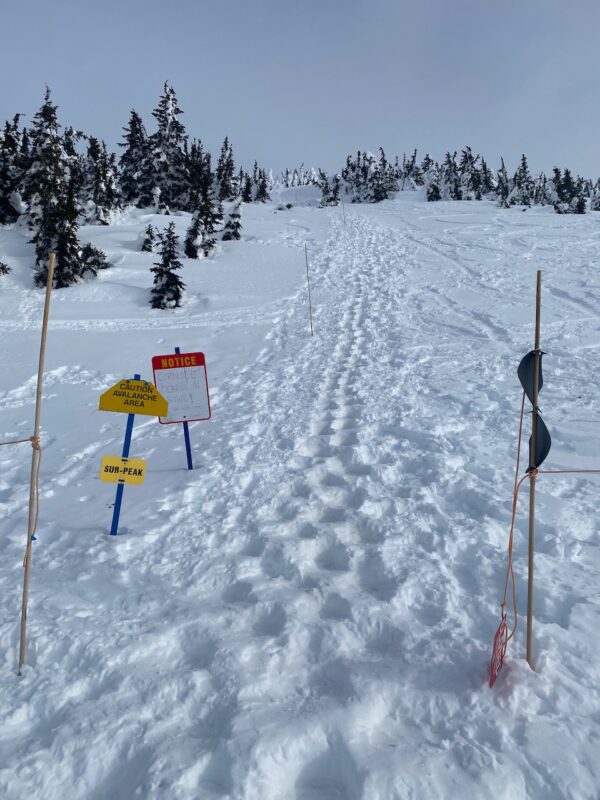Revelstoke, Canada. Image © PlanetSKI